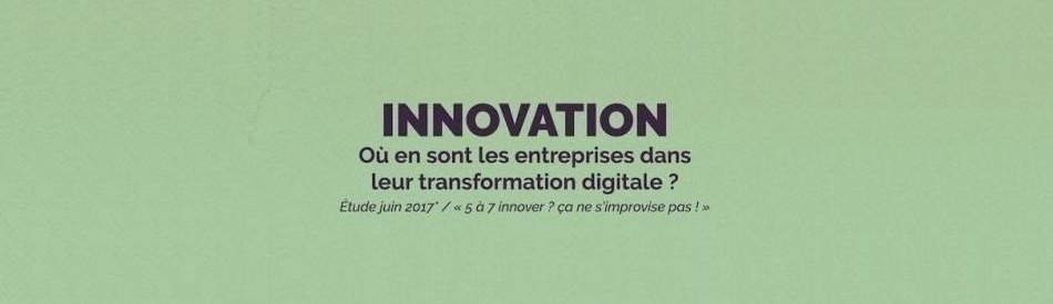 Umanis - Où en sont les entreprises dans leur transformation digitale ?