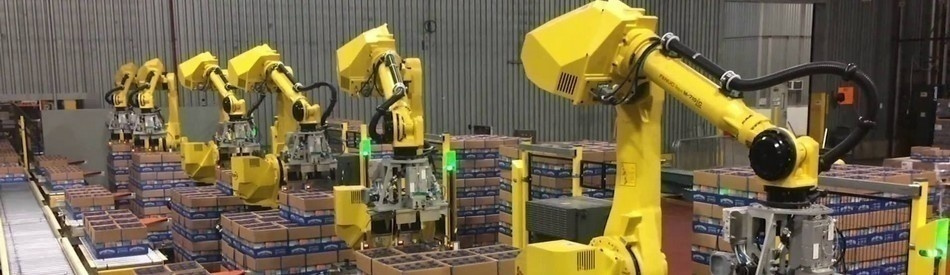 Robots industriels Fanuc