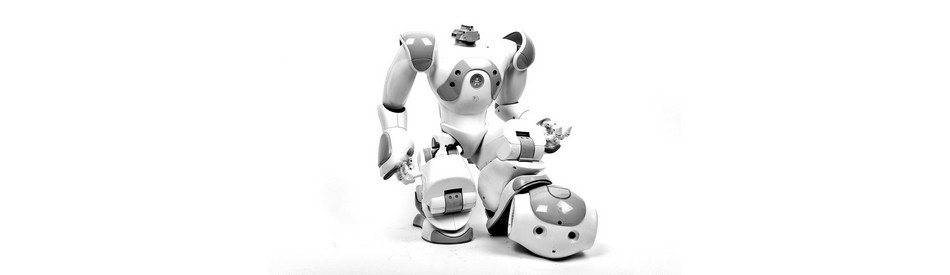 Robotique industrielle : comment choisir son robot ou son cobot ?